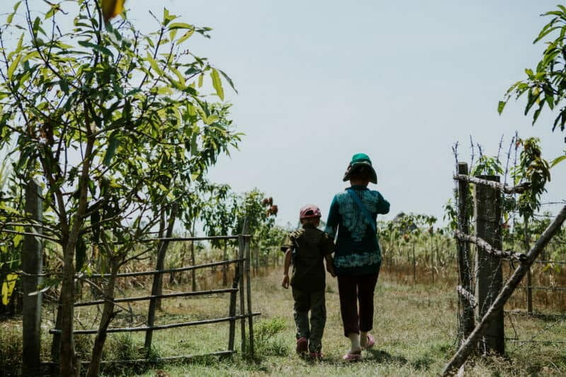 A foster parent and child walk hand in hand along a rural path lined with trees