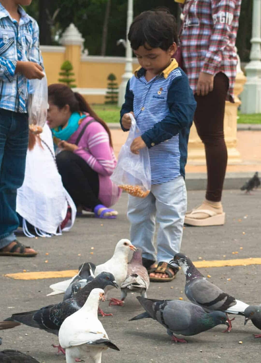 A young boy holds a bag of seed, feeding a flock of pigeons in a public square with family nearby