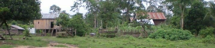 Wooden houses on stilts amid lush greenery in a rural village setting