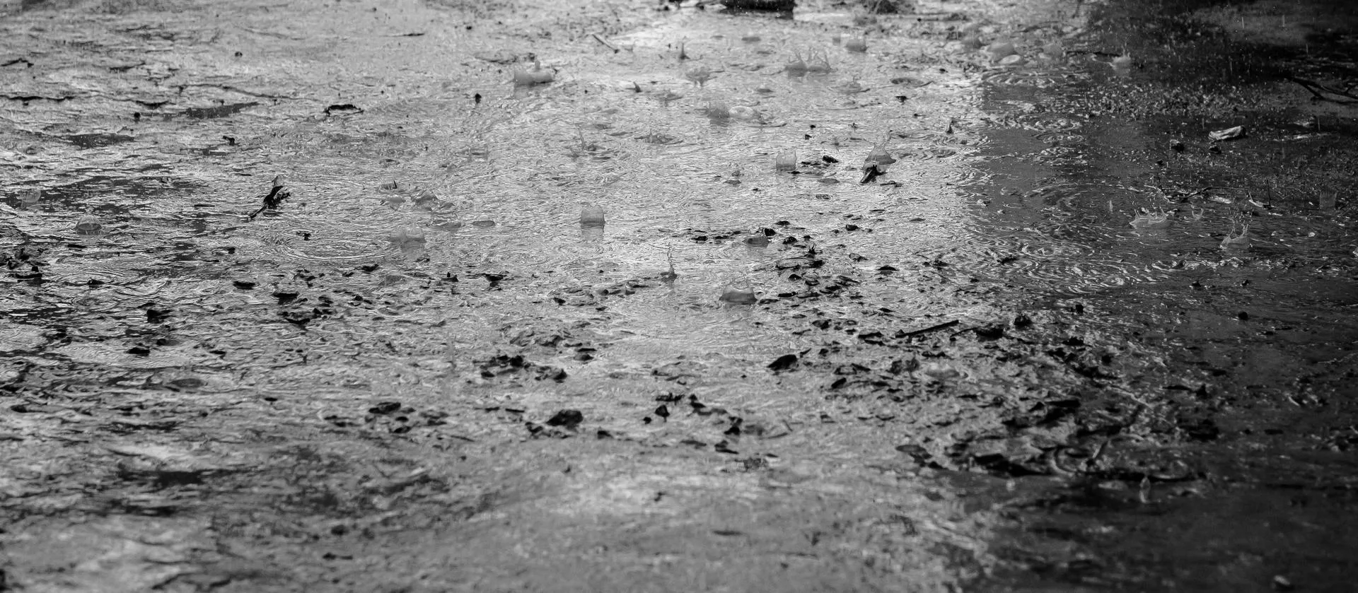 The weather breaks, and the rain comes down hard.