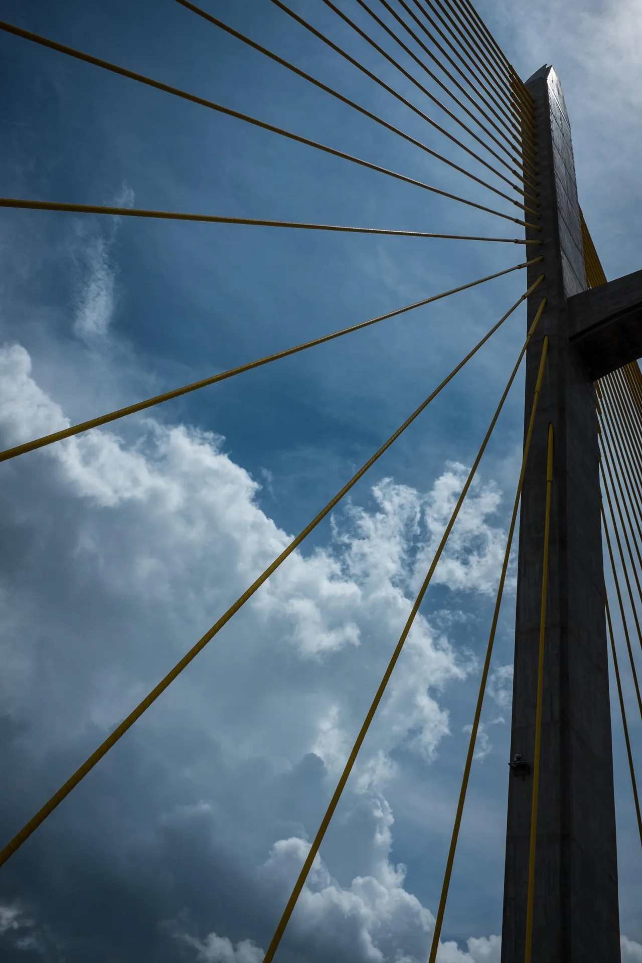 Tsubasa Bridge over the Mekong.